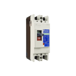 Aptomat khối MCCB Shihlin BM 250-SN 2P 125A 30kA