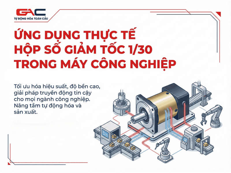 hop-so-giam-toc-1-30