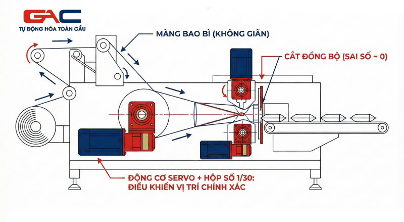 hop-so-giam-toc-1-30