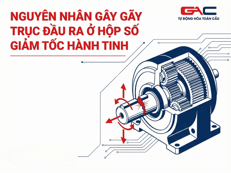 gay-truc-dau-ra-o-hop-so-giam-toc-hanh-tinh