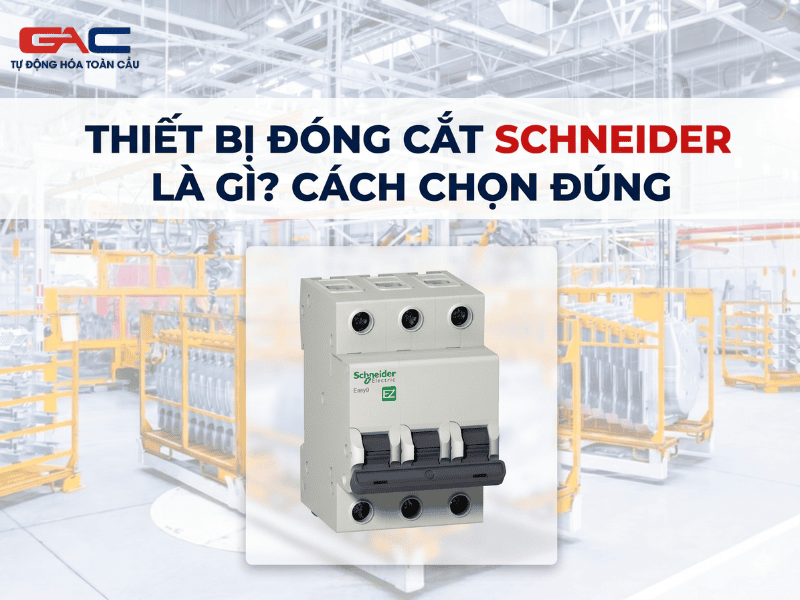 Thiết bị đóng cắt Schneider