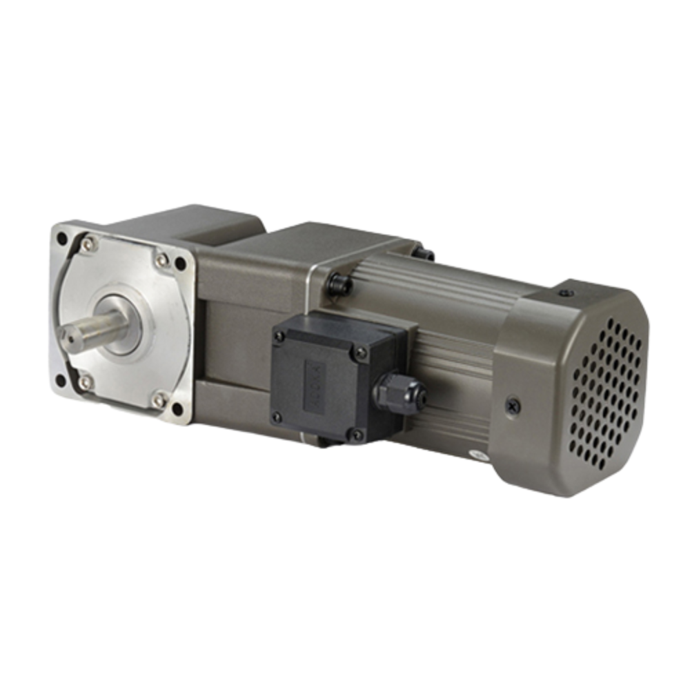 Motor cảm ứng Leonhard