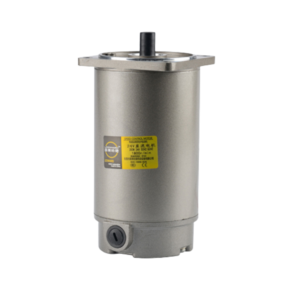 Động cơ DC không chổi than Leonhard